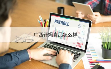 廣西軒媽食品公司概覽 工作時(shí)間、發(fā)展與計(jì)算機(jī)軟硬件業(yè)務(wù)